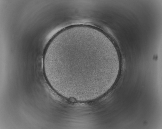 X0000112471320200909281036