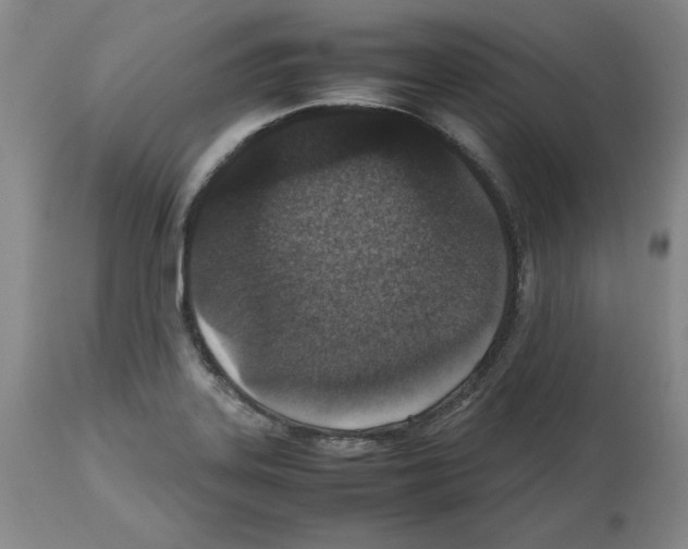 X0000112471323200909281036