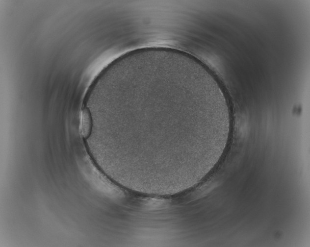 X0000112471324200909281036