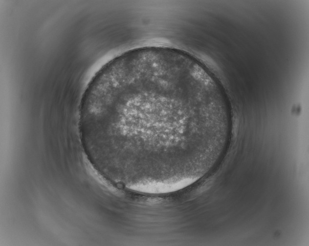 X0000112471326200909281036