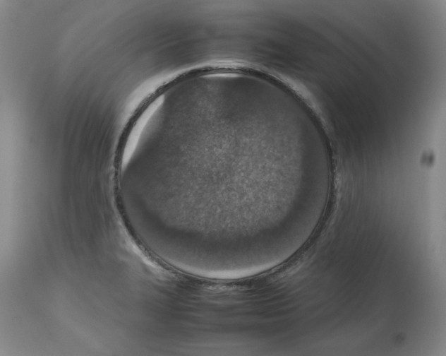 X0000112471327200909281036