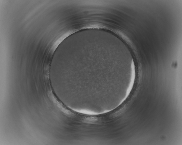 X0000112471329200909281036