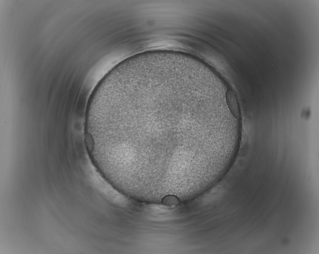 X0000112471330200909281036