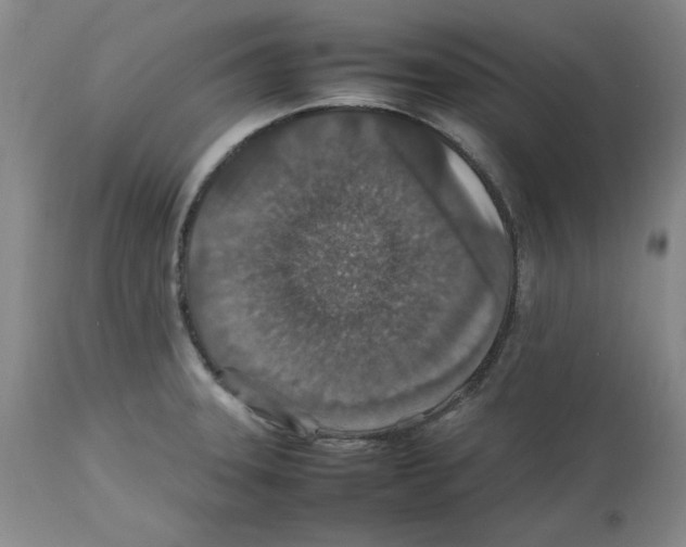 X0000112471331200909281036