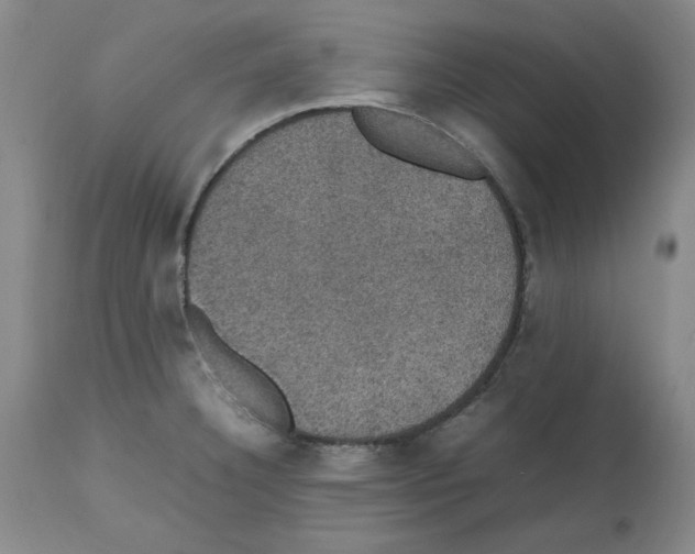 X0000112471332200909281036