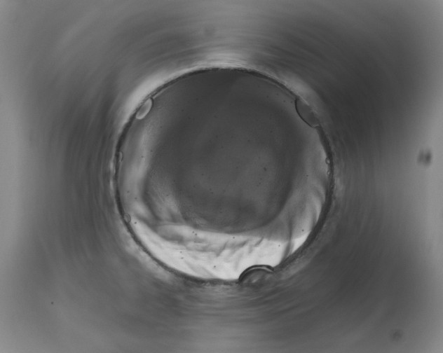 X0000112471334200909281036