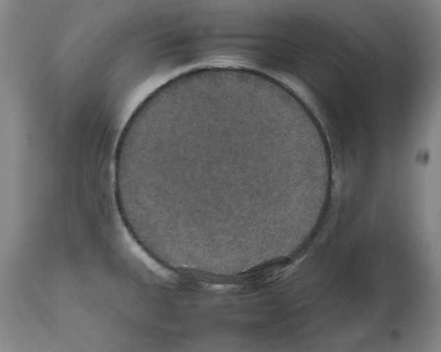 X0000112471335200909281036