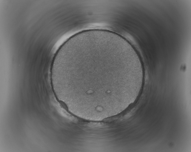 X0000112471336200909281036
