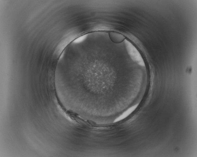 X0000112471337200909281036