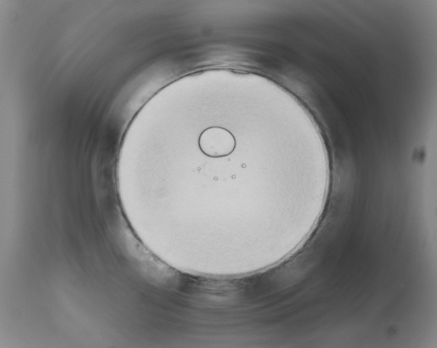X0000112471338200909281036
