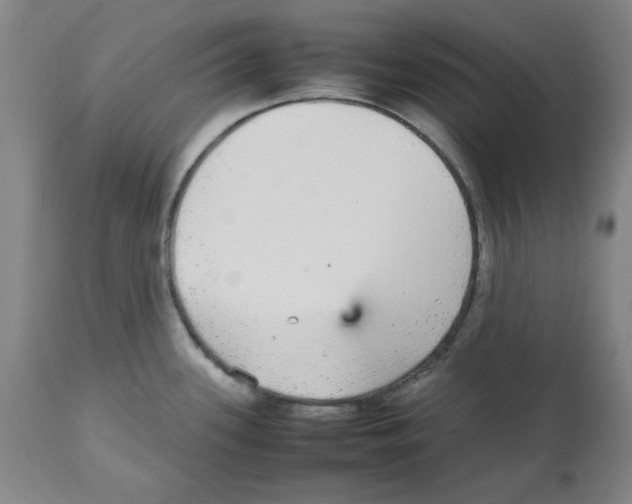 X0000112471339200909281036