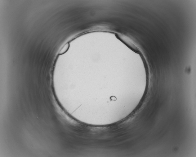 X0000112471341200909281036