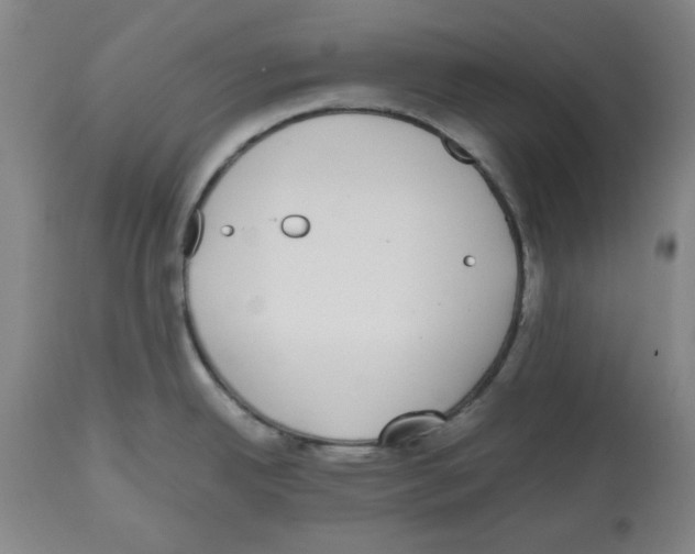 X0000112471342200909281036
