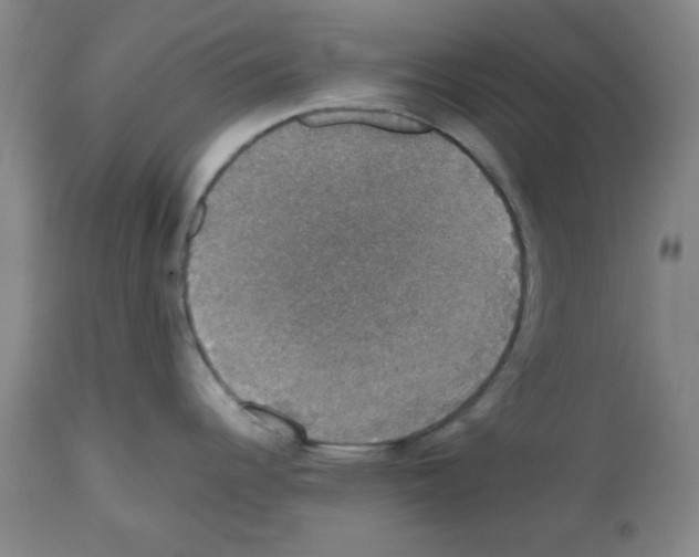 X0000112471344200909281036