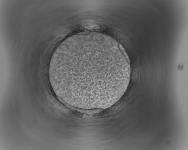 X0000112471345200909281035