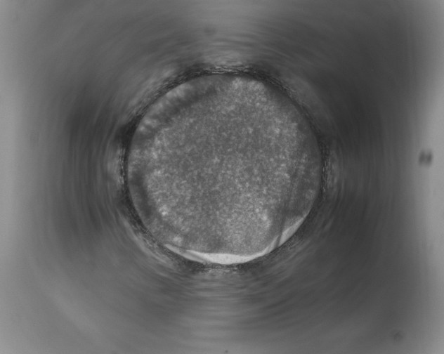 X0000112471346200909281035