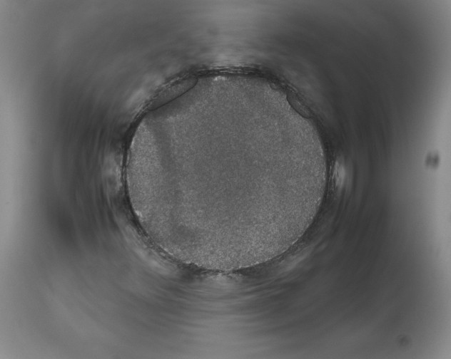 X0000112471348200909281035