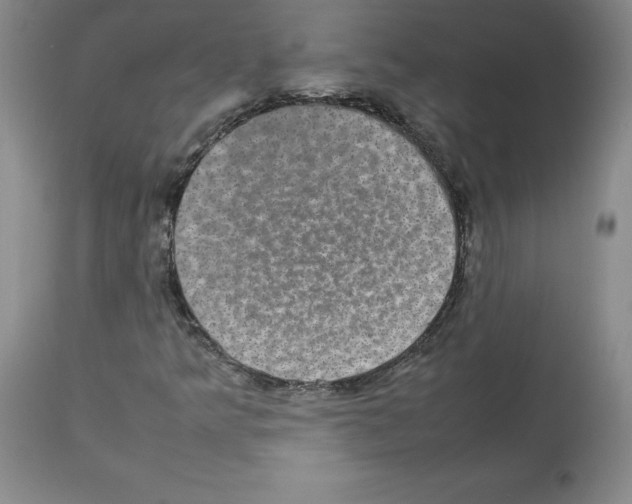 X0000112471349200909281035