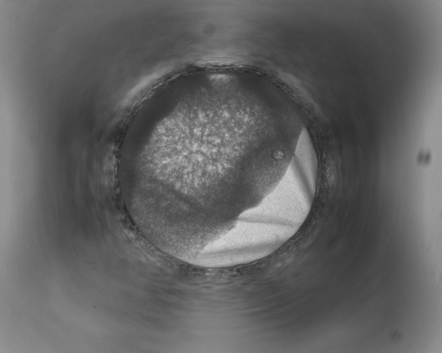 X0000112471350200909281035
