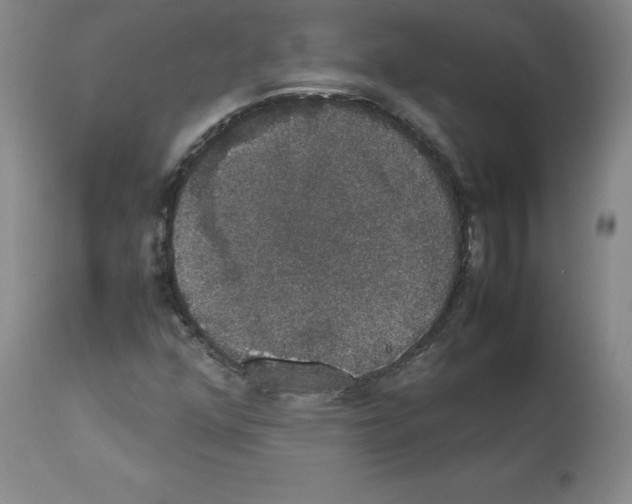 X0000112471352200909281035