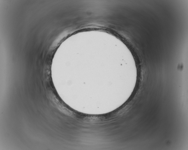 X0000112471355200909281035