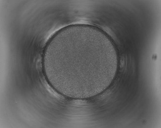 X0000112471356200909281035