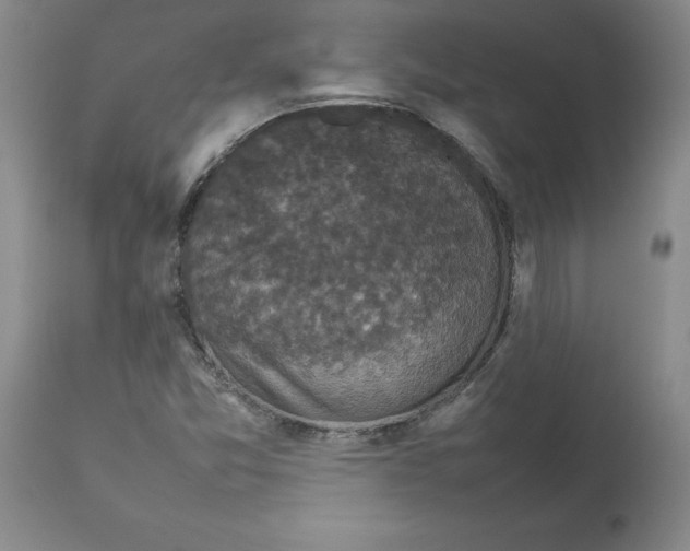 X0000112471357200909281035