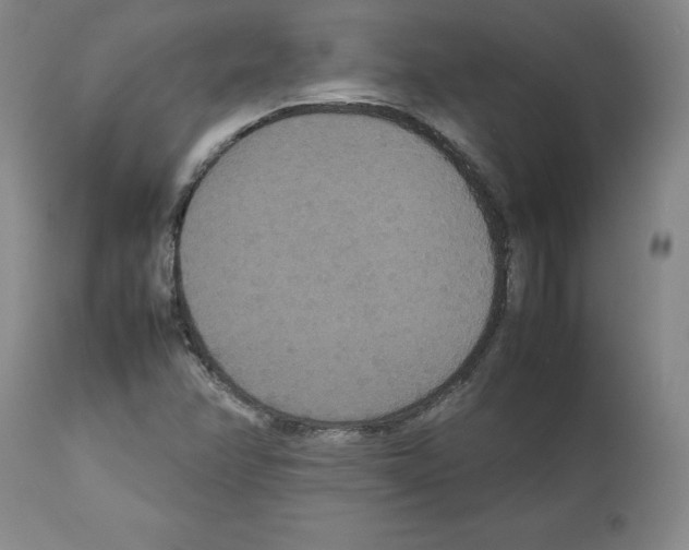 X0000112471358200909281035
