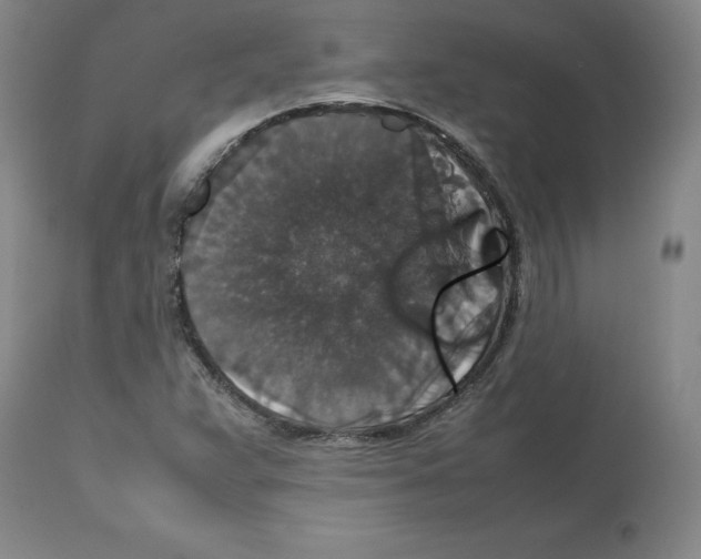 X0000112471359200909281035