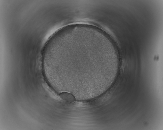X0000112471360200909281035