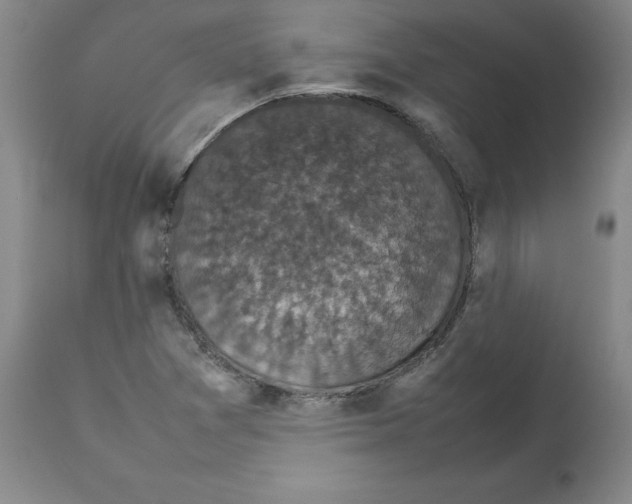 X0000112471361200909281035