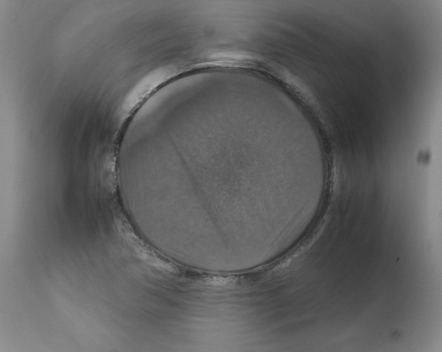 X0000112471362200909281035