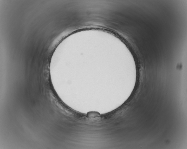 X0000112471363200909281035