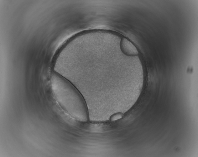 X0000112471364200909281035