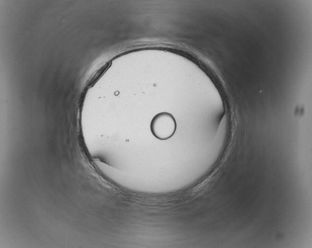 X0000112471365200909281035