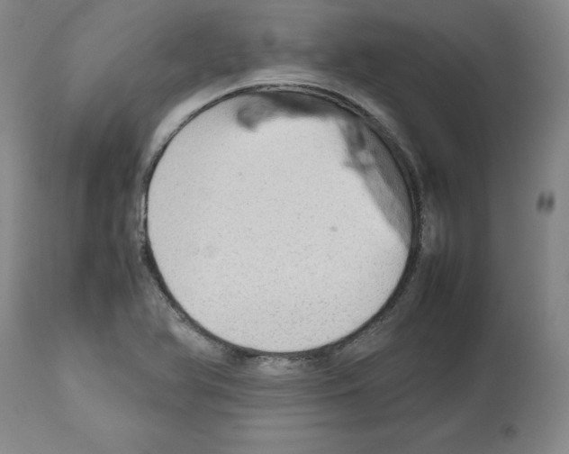 X0000112471366200909281035