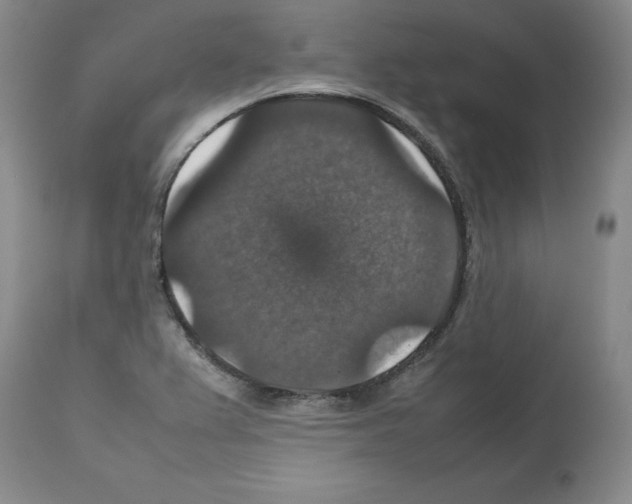 X0000112471367200909281035