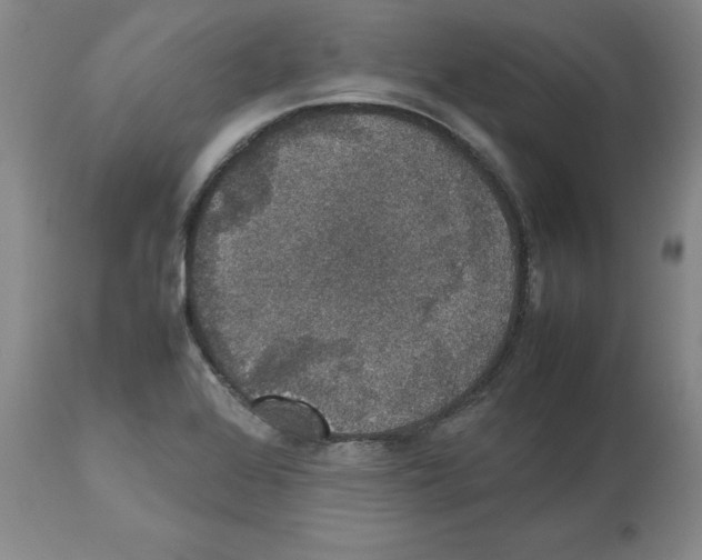 X0000112471368200909281035