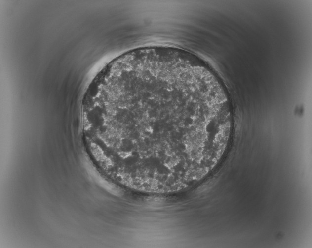 X0000112471371200909281035