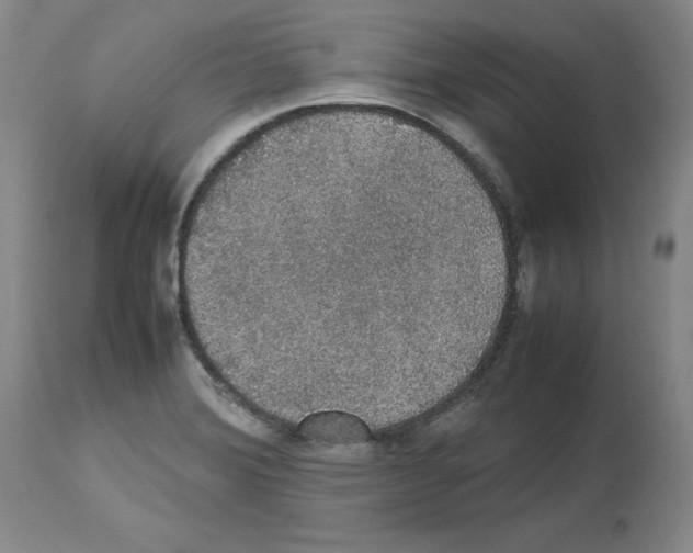 X0000112471372200909281035