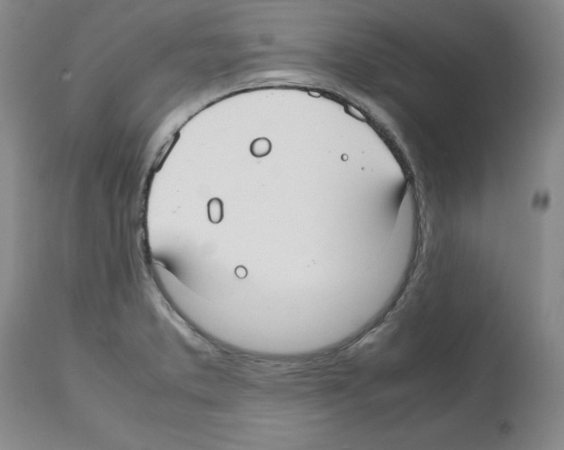 X0000112471373200909281035