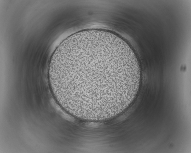 X0000112471374200909281035