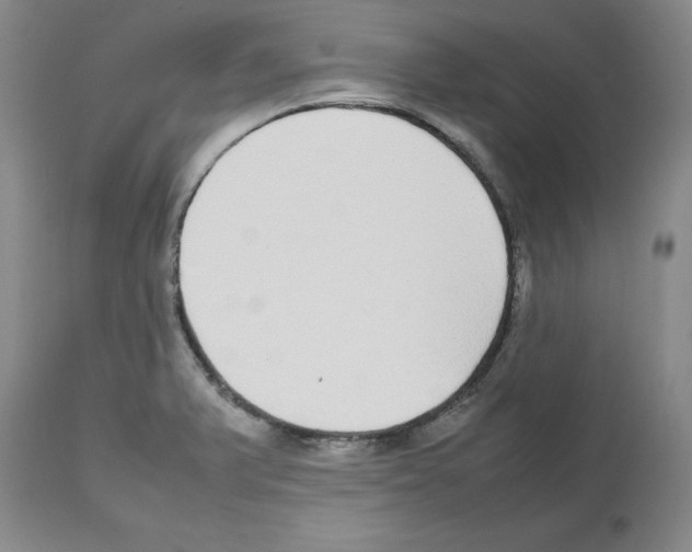 X0000112471375200909281035