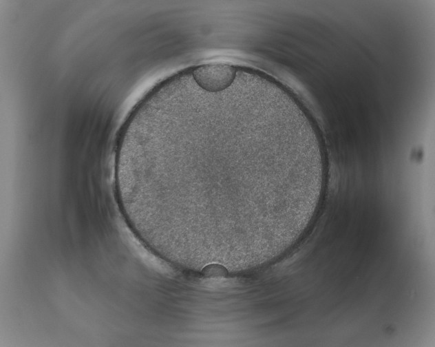 X0000112471376200909281035