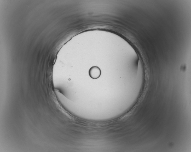 X0000112471377200909281035