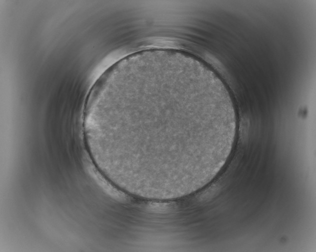 X0000112471378200909281035