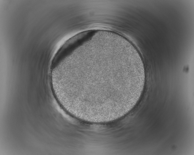 X0000112471379200909281035