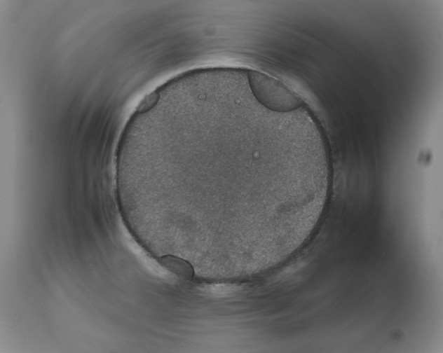 X0000112471380200909281035