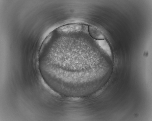 X0000112471382200909281035