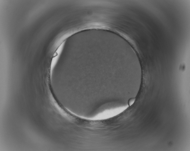 X0000112471383200909281035